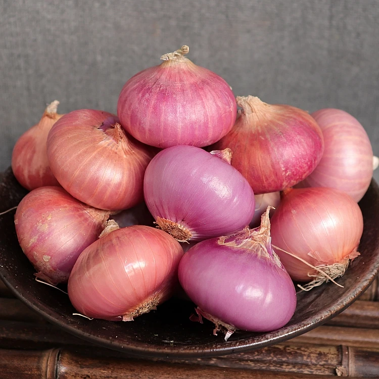 小洋葱头 扁头圆洋葱新鲜傣味泰式沙拉蔬菜1斤