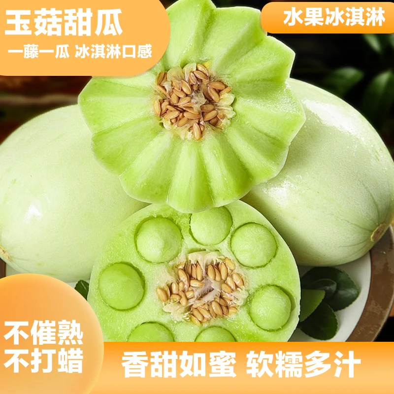 山东玉菇冰淇淋甜瓜新鲜水果整箱包邮当季正宗甜瓜香甜多汁产地