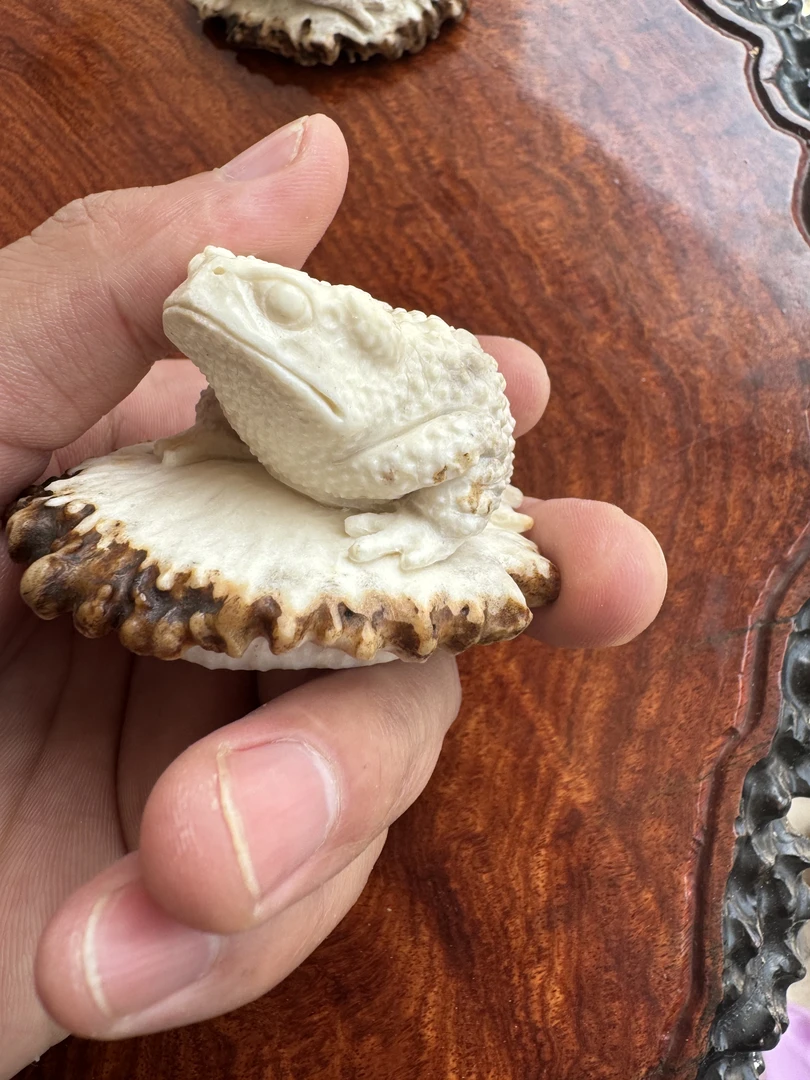 鹿角雕金蟾摆件茶宠