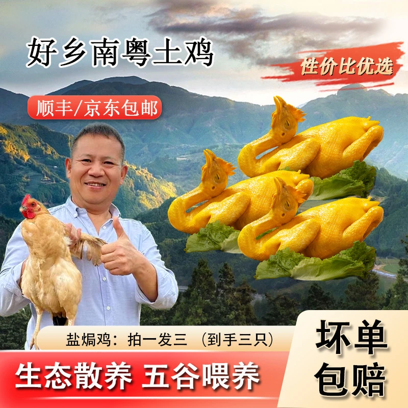 到手3只广东盐焗鸡500g/袋