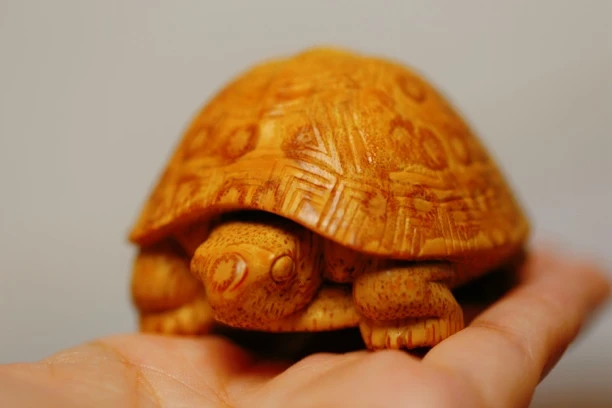 竹根雕满钉钉乌龟，金钱龟