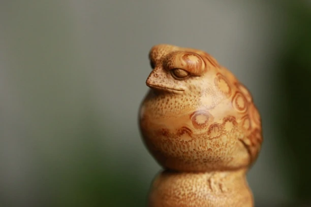 竹根雕精神的小鸟，料子老，竹钉好