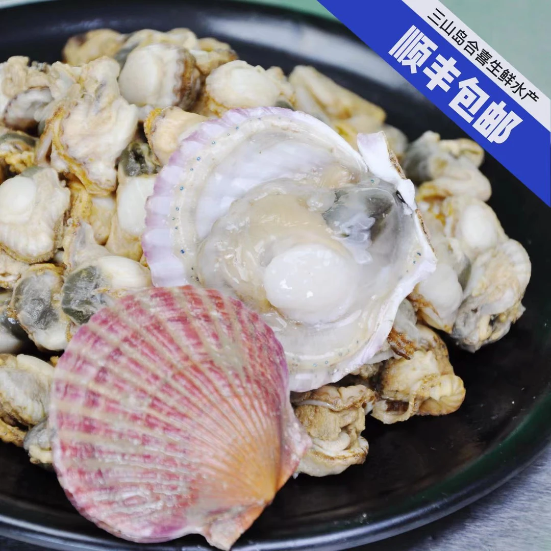 三山岛（港湾贝）鲜冻无冰 原汁 0冰锁鲜（当季头茬）3斤 5斤顺丰包邮