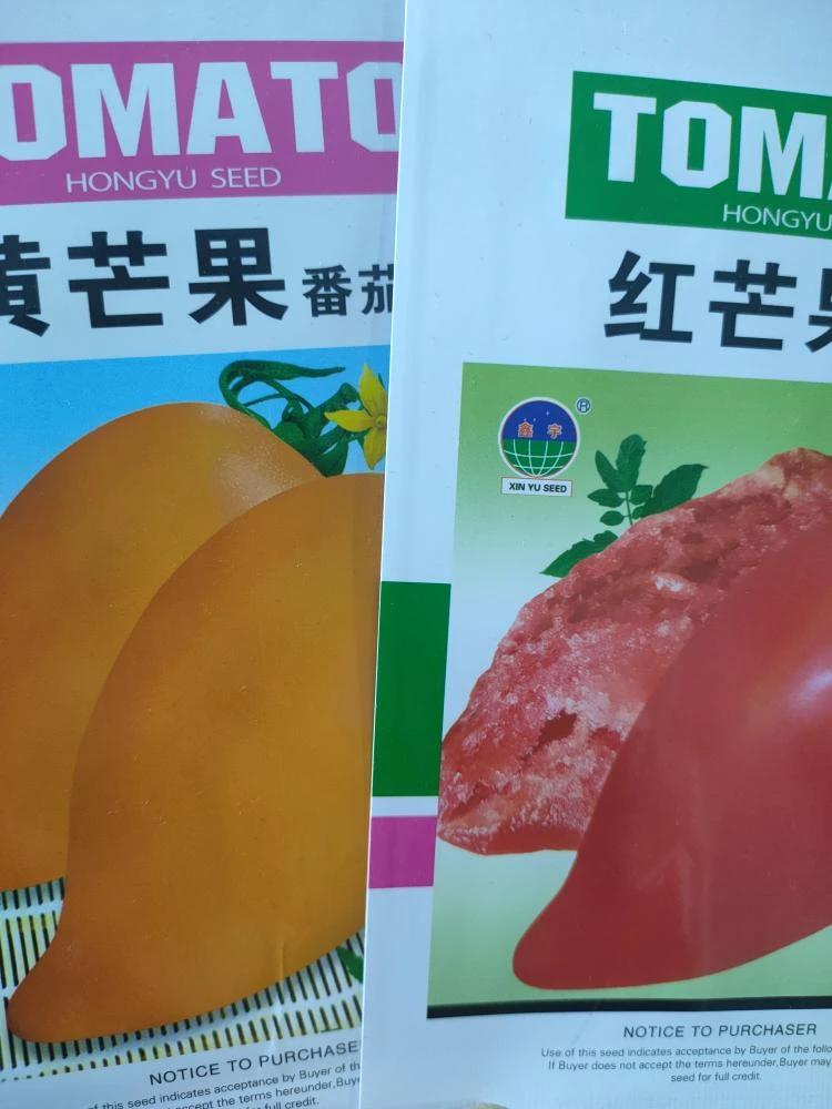 芒果柿子 红色＋黄色种子