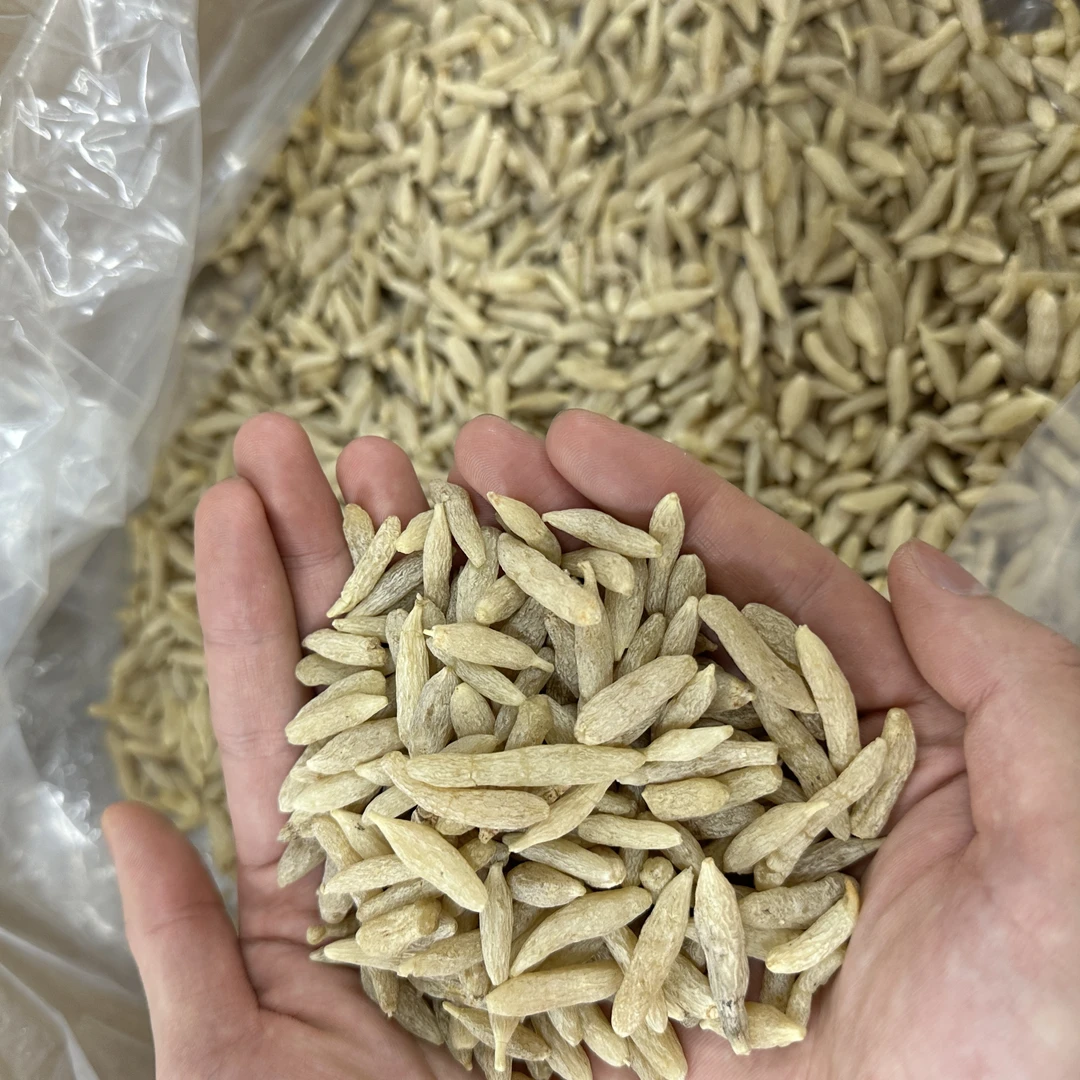 麦冬粒 大饱满无磺无硫无熏染自然晾晒干燥