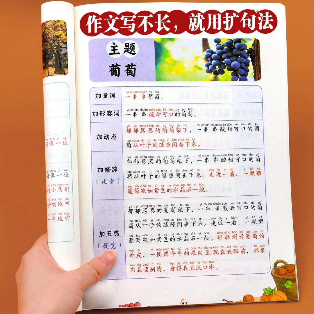 小学语文扩句法每日晨读看图写话一二三年级五感法写作文句子扩充