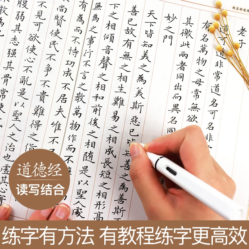 赵孟頫道德经行楷临摹练字帖初学者入门基础训练大学生成人男女生