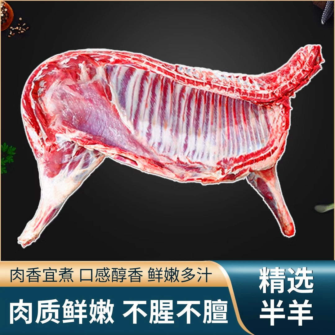 散养羔羊羊排羊腿羊蝎子 分割切块