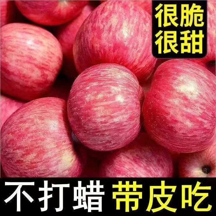 正宗山东红富士带箱10斤脆甜应季时令果蔬