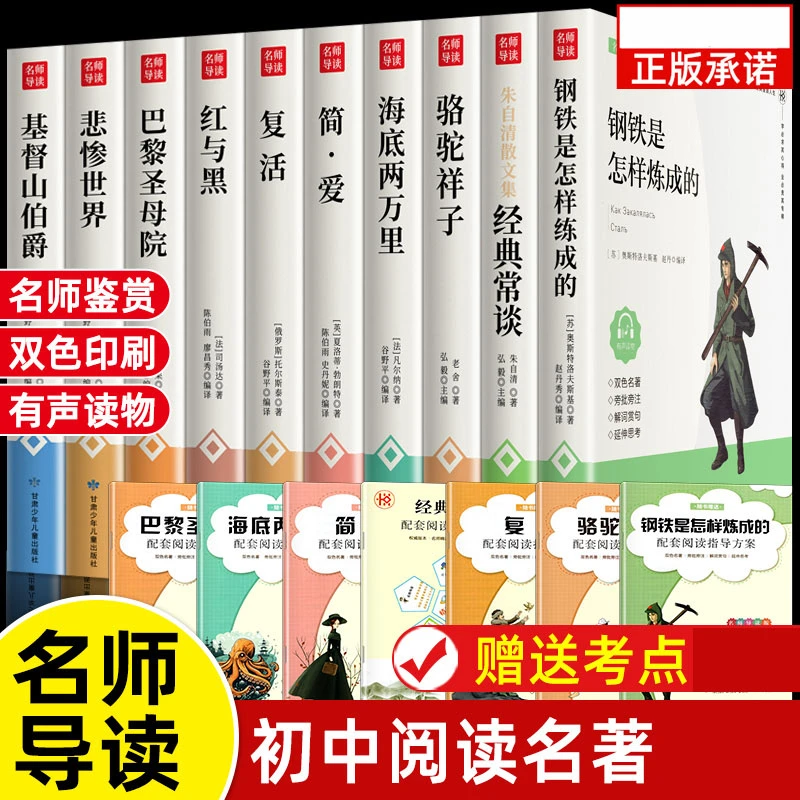 初高中读bi的名著海底两万里和骆驼祥子海底两万世界十大名著经典