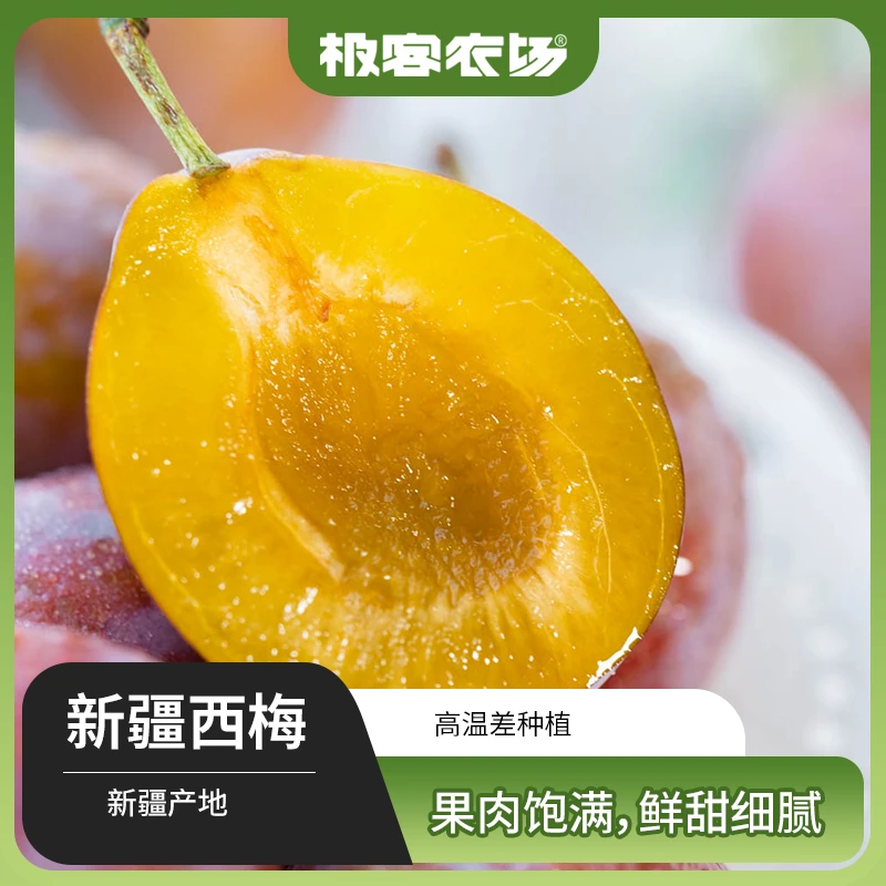 极客西梅香甜多汁果皮微酸皮薄如纸甜香醇美冷藏保存新疆喀什3斤