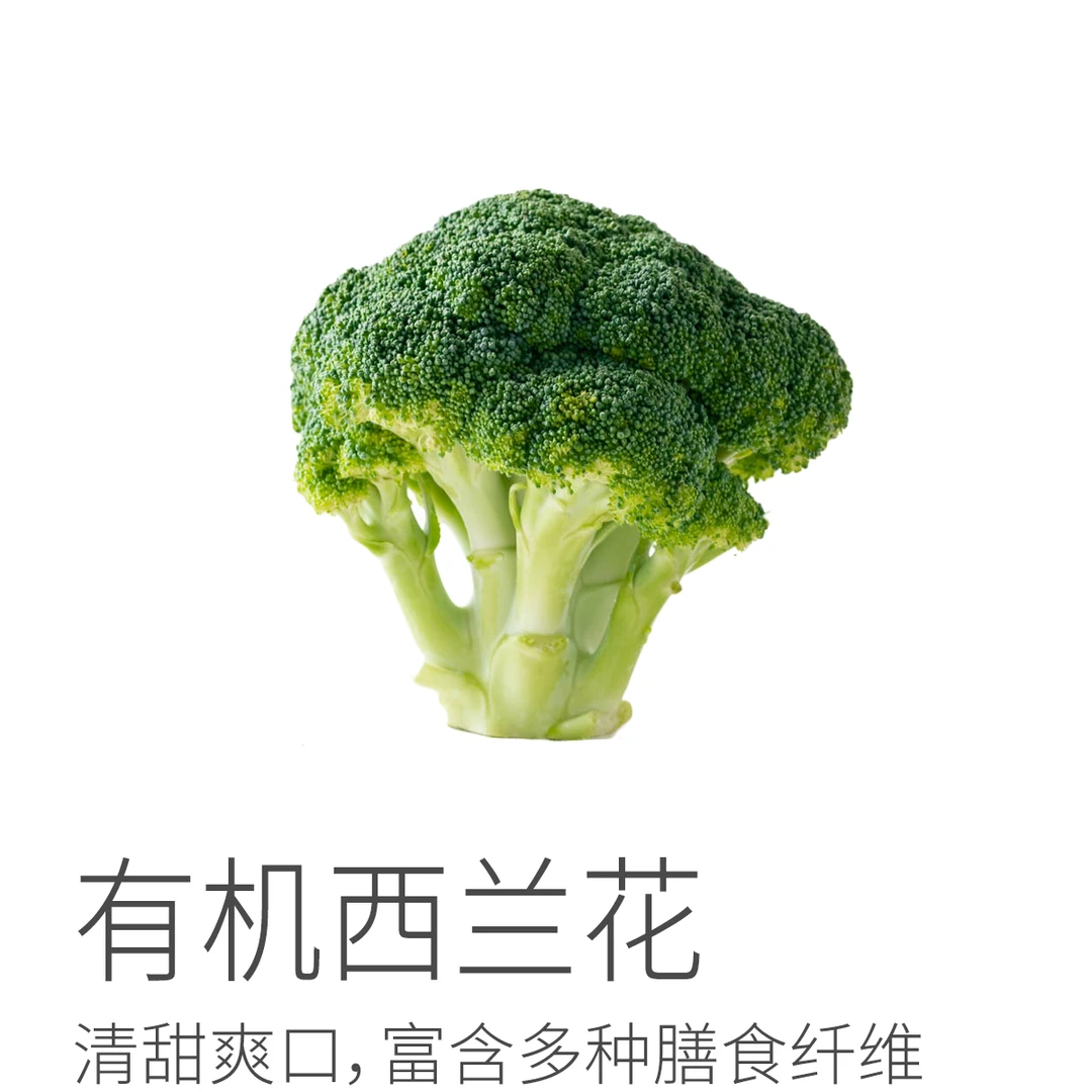 有机西兰花丨色泽鲜绿清香爽口 新鲜采摘 有机食品 约3斤 顺丰