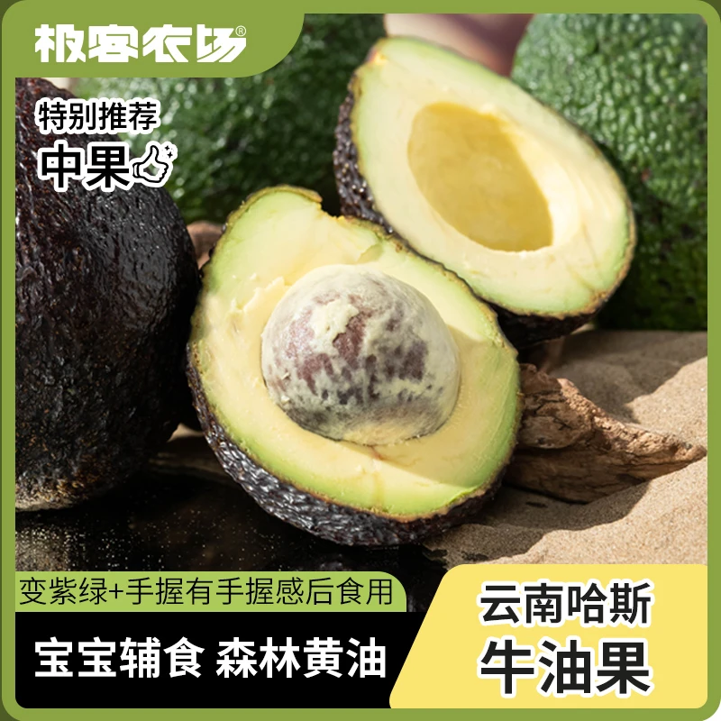 国货之光 云南哈斯牛油果 10只装单果(100g+) 【到货需催熟】顺丰