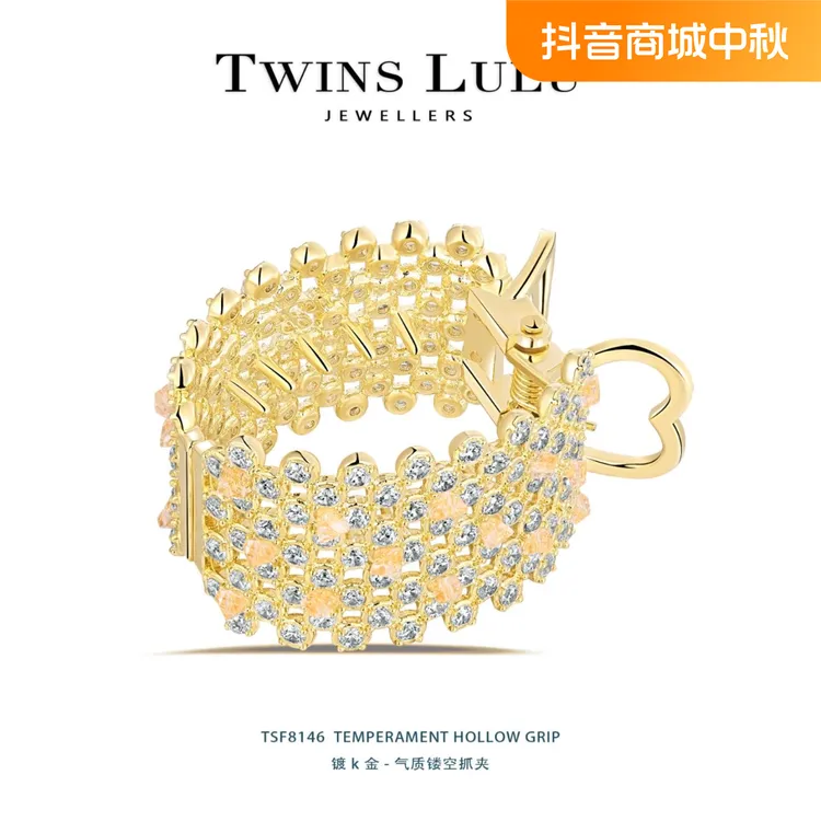 百搭简约时尚网红小众个性优雅气质抓夹TSF8146