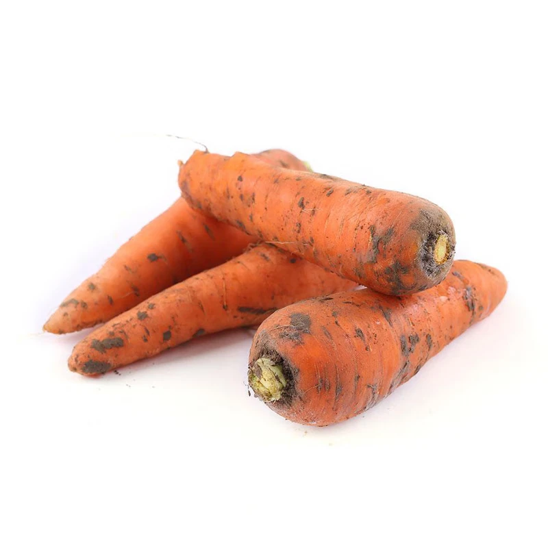 泥萝卜【每份重量约470g~530g】