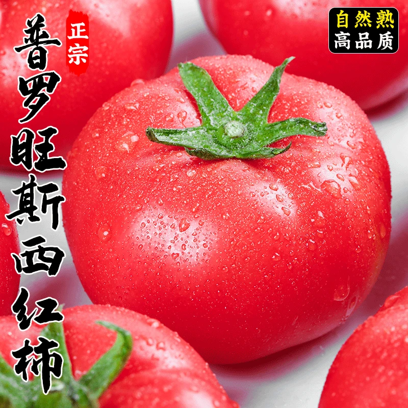 陕西泾阳普罗旺斯西红柿 水果西红柿