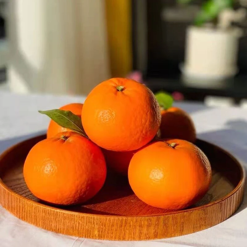 【顺丰包邮】云南大理宾川高原高山沃柑新鲜采摘现摘现发