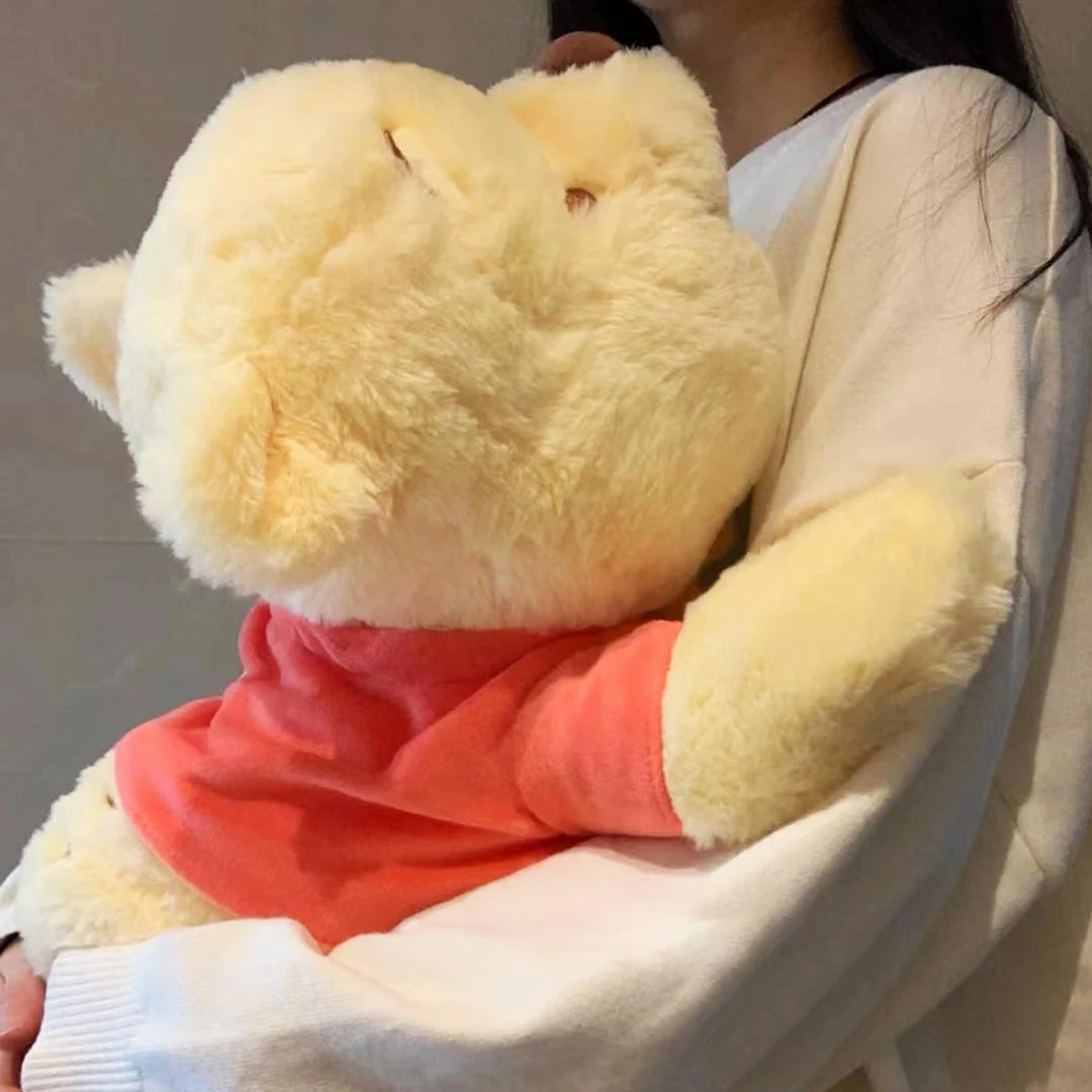 维尼噗噗公仔熊小熊抱枕娃娃毛绒玩具女生睡觉玩偶生日礼物圣诞节