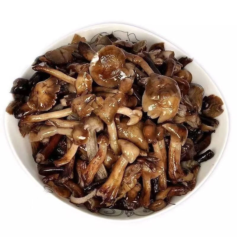 东北野生食用榛蘑新鲜速冻榛蘑小鸡炖蘑菇1000g生鲜农产品