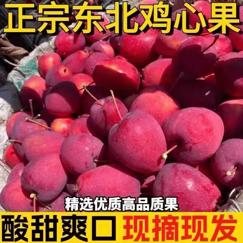 【邮政助农】东北酸甜脆口鸡心果吉林特产小苹果果园现摘直发包邮