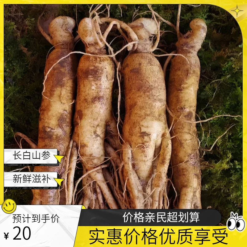 长白山新鲜人参,精品鲜参单支平均15克左右 泡酒 煲汤 煮水 滋补