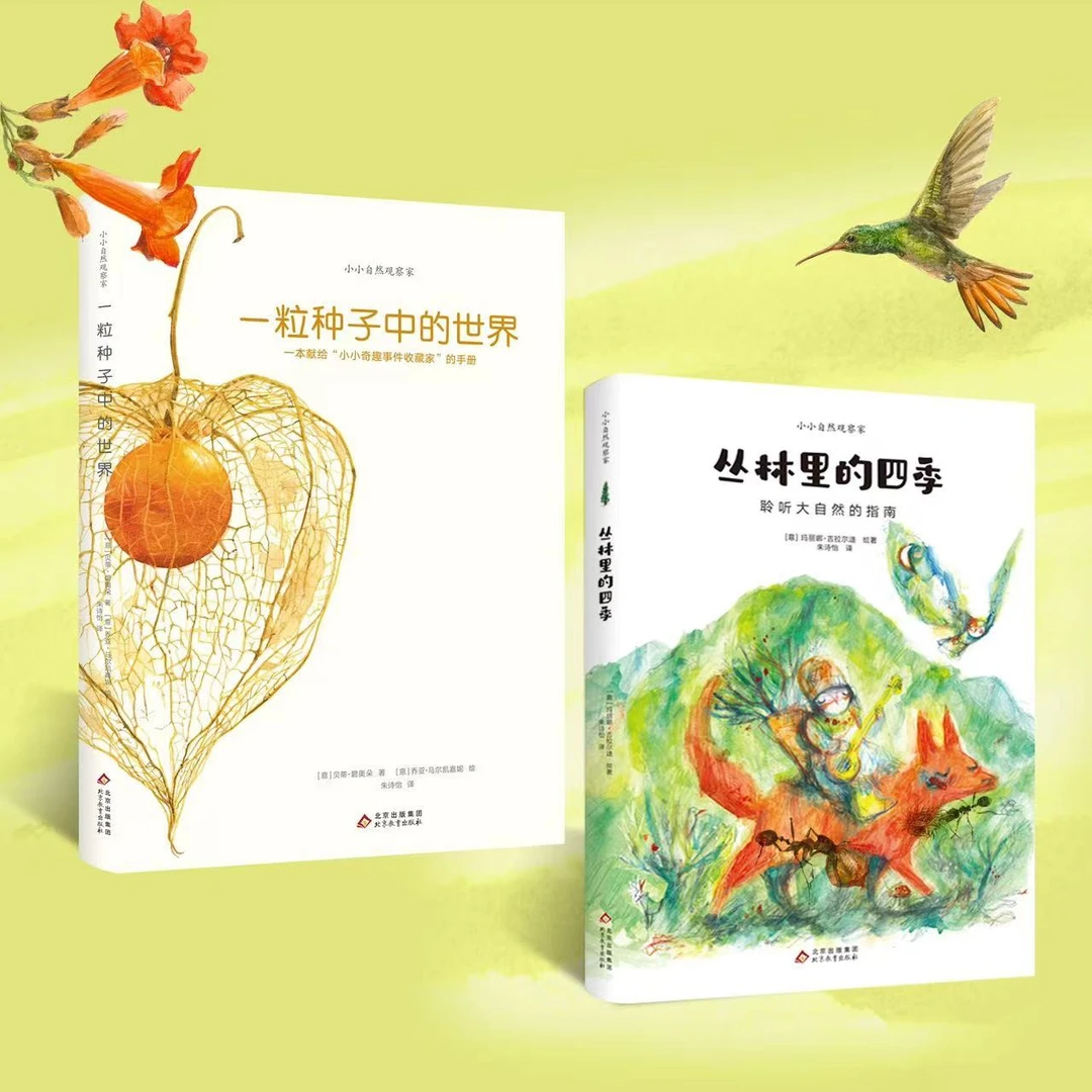【李享书展专属】丛林里的四季+一粒种子中的世界