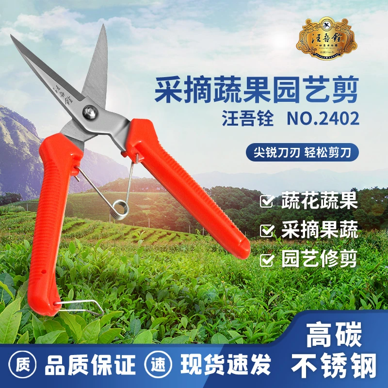 采摘园艺剪刀花艺修花剪枝果剪省力收果橘子葡萄枸橘用剪刀多功能