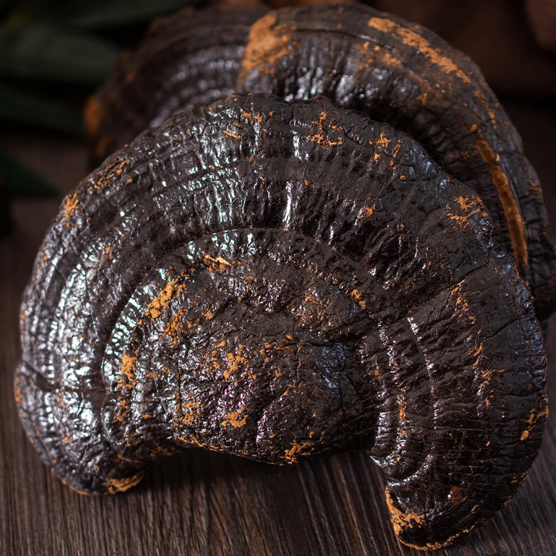 野生黑灵芝干货天然林芝干灵芝泡酒煲汤正品