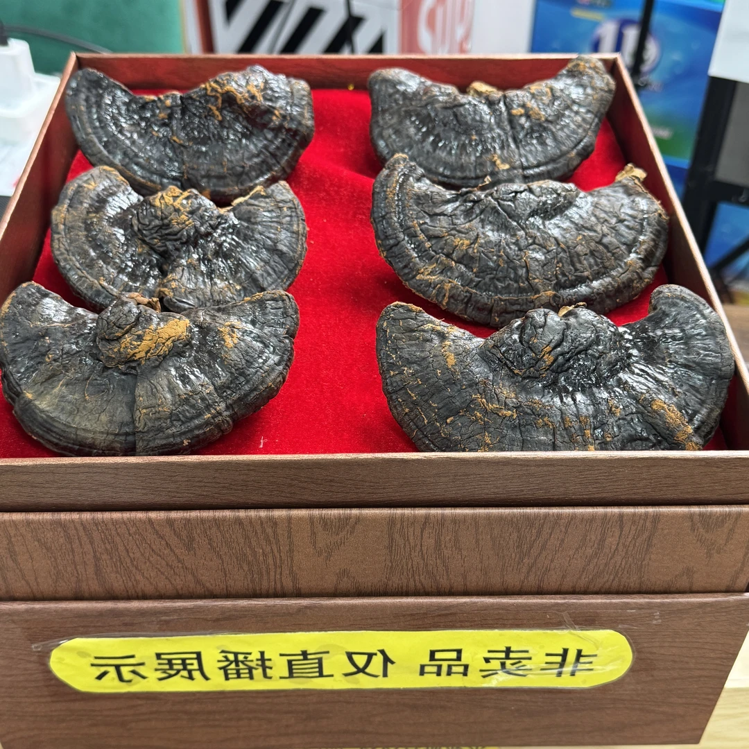 【黑灵芝】精选长白山林下灵芝黑灵芝整枝灵芝干货泡汤泡酒