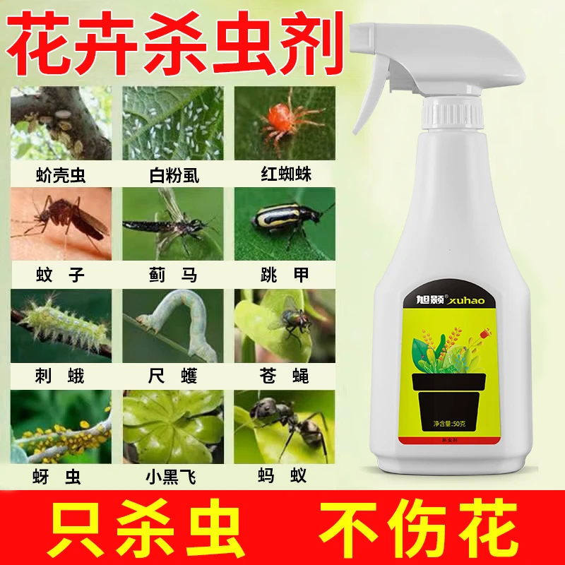 花卉杀虫剂通用月季多肉绿植物兰花药小黑飞红蜘蛛蚜虫蚧壳虫花药