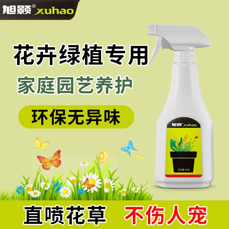 花卉水乳剂月季多肉绿植物小黑飞红蜘蛛蚜虫蚧壳虫家用通用杀虫剂