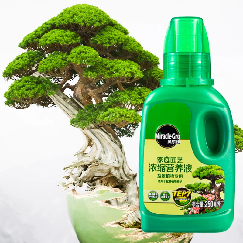 美乐棵 盆景植物营养液 营养液植物花肥家用养花玉肥肥料盆景专用