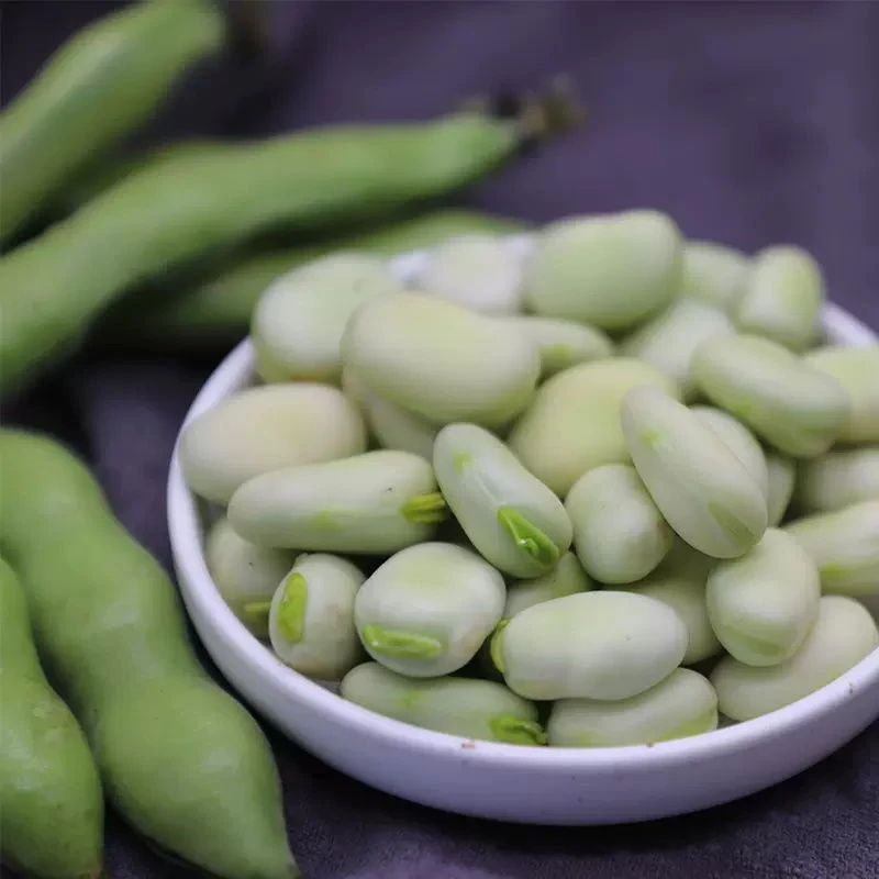 云南农家青蚕豆应季新鲜蔬菜带皮现摘现发5斤包邮