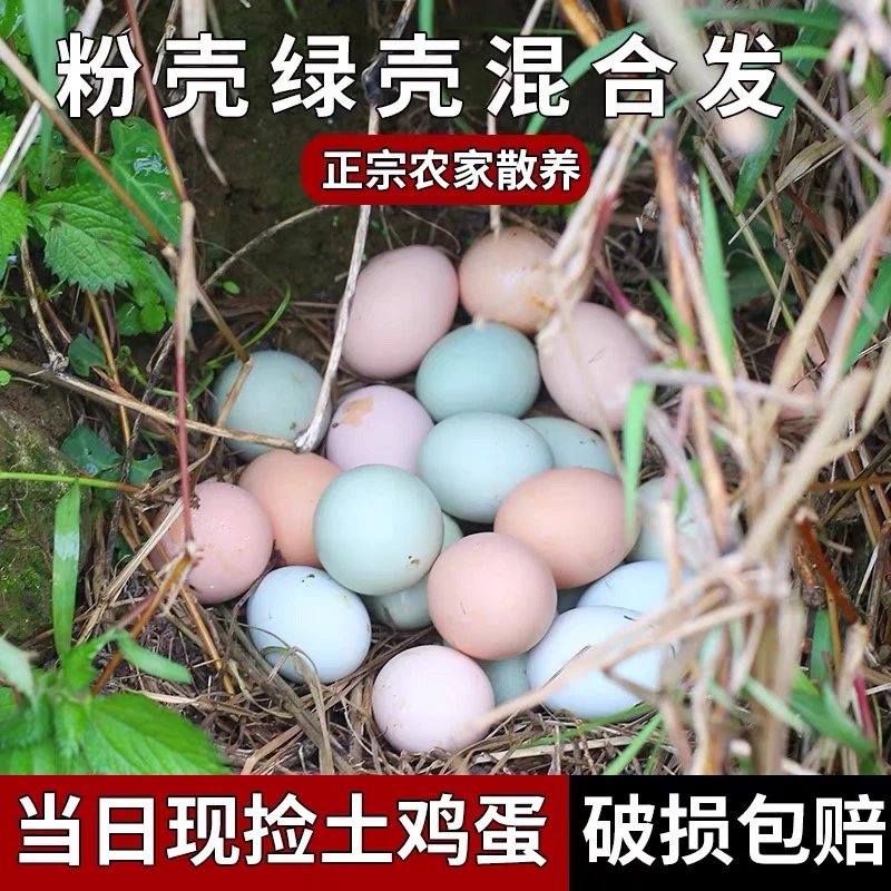 （土大亨） 组合装20枚粉壳蛋+20枚绿壳蛋 40枚 1600g左右