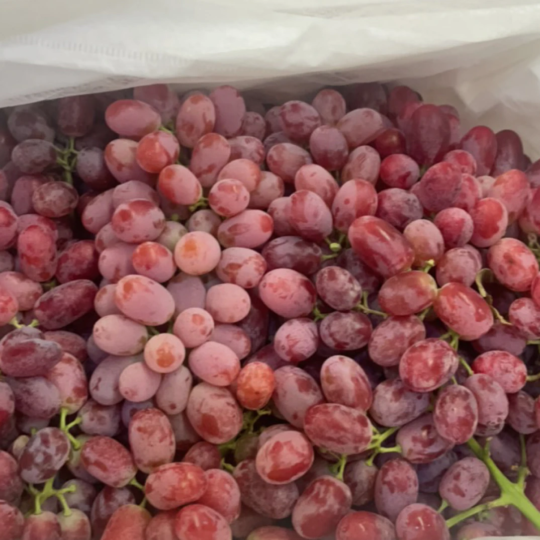 老牛专属 新疆无籽 红提1件净4斤左右 快递包邮