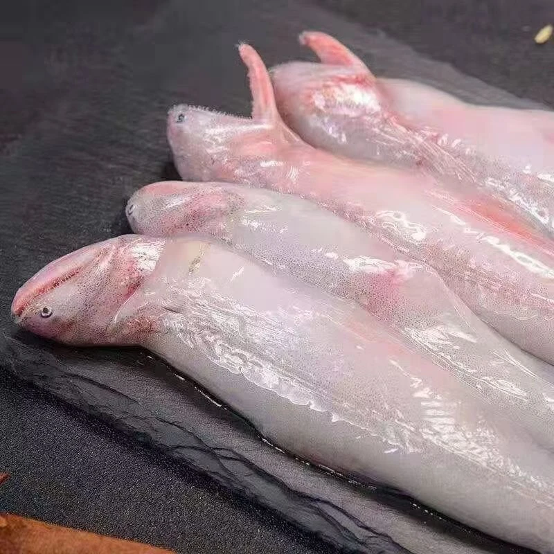 野生豆腐鱼龙鱼连云港冷冻发货4斤