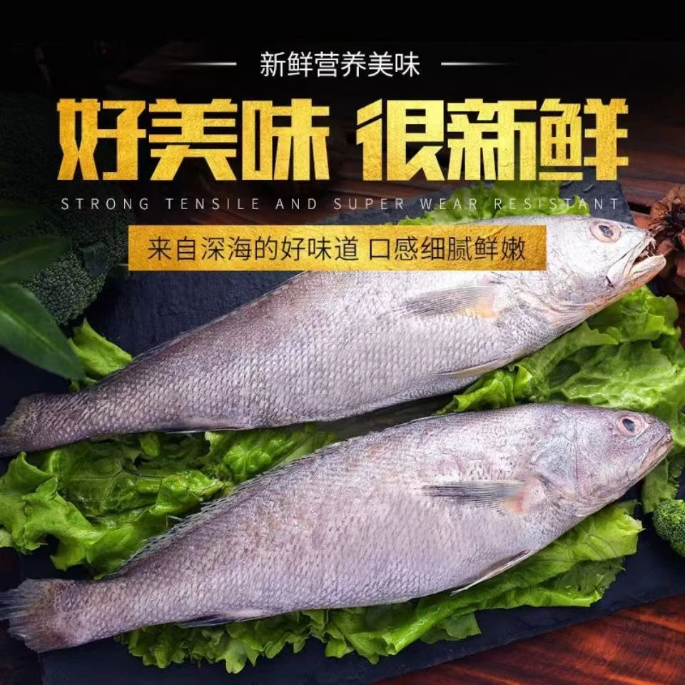 新鲜米鱼 连云港发货(6斤共10条左右)