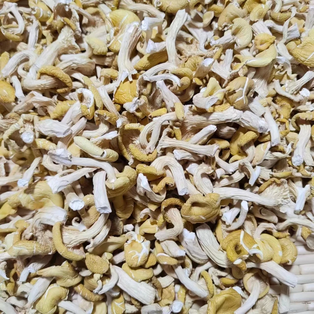 黑龙江初级农副产品（榆黄蘑250g）