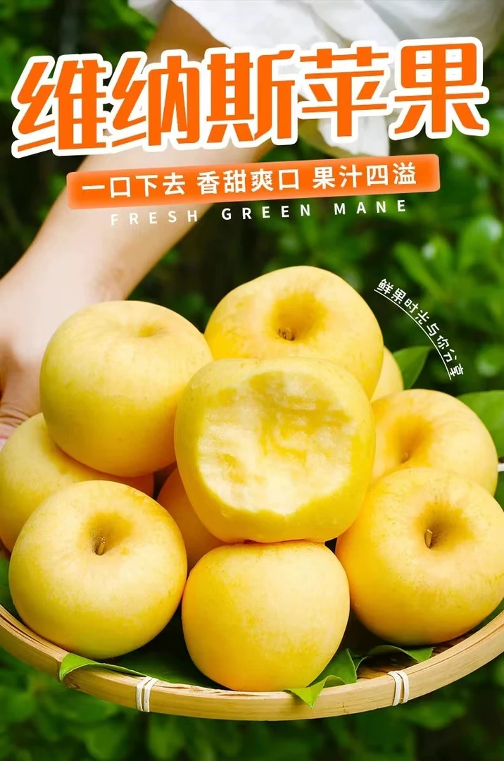 网红维纳斯黄金苹果【万奈园】新鲜香甜送礼佳品精选多汁水果脆甜