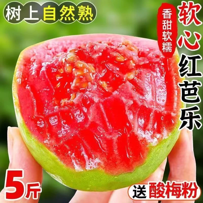 【万奈园】红心芭乐番石榴白心软糯奶油芭乐现摘当季水果红心番石榴