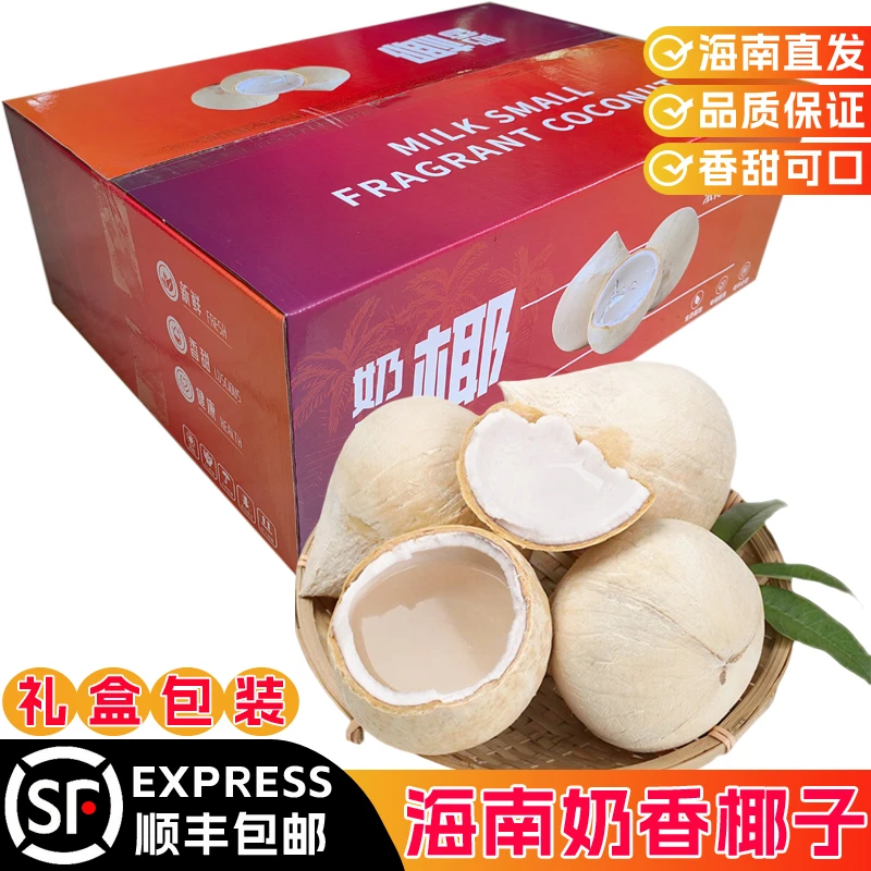 海南小奶椰热带当季新鲜水果椰青椰皇奶香椰子整箱礼盒装顺丰包邮