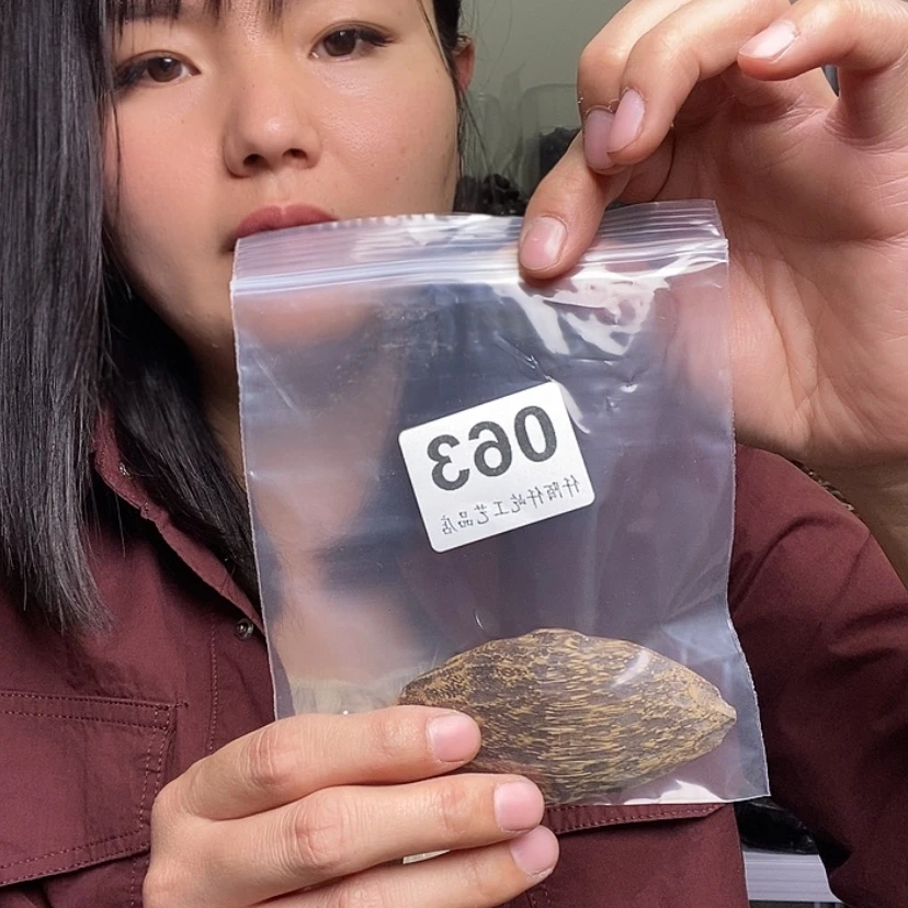 【闪购商品】东非黑黄檀（紫光檀）一**魔063