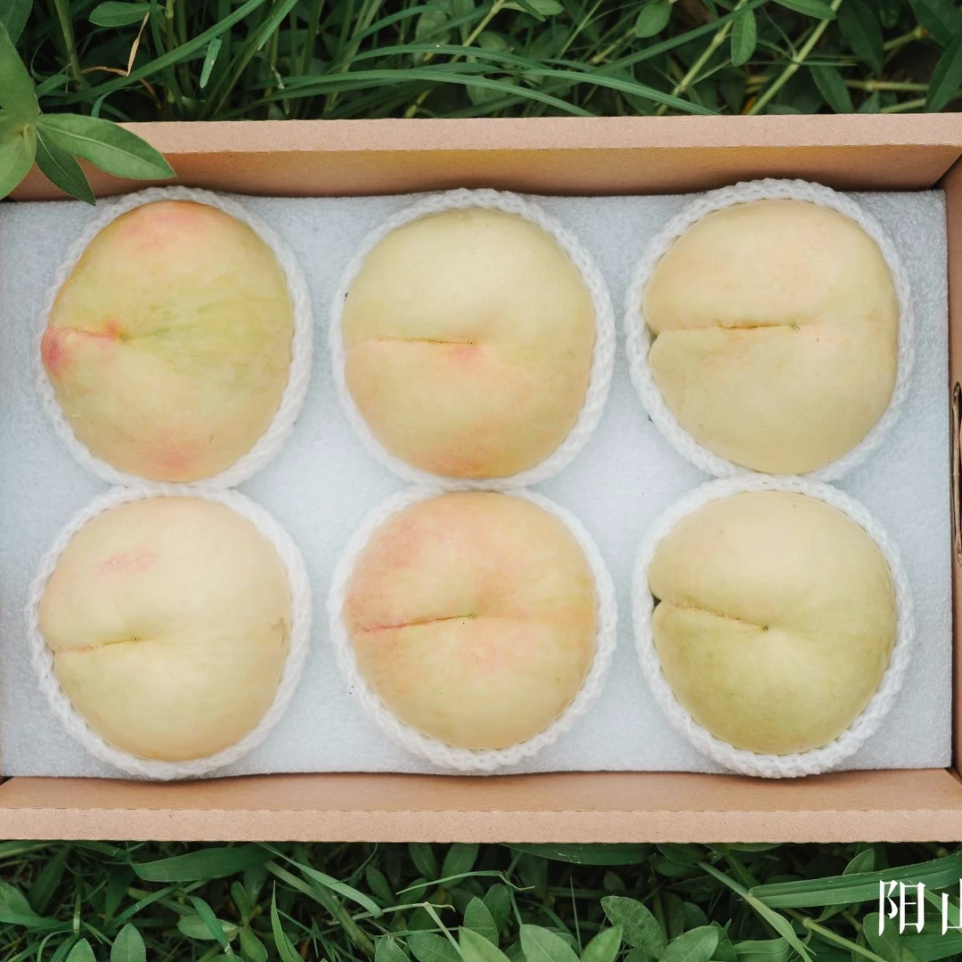 阳山水蜜桃6-7两 6只装