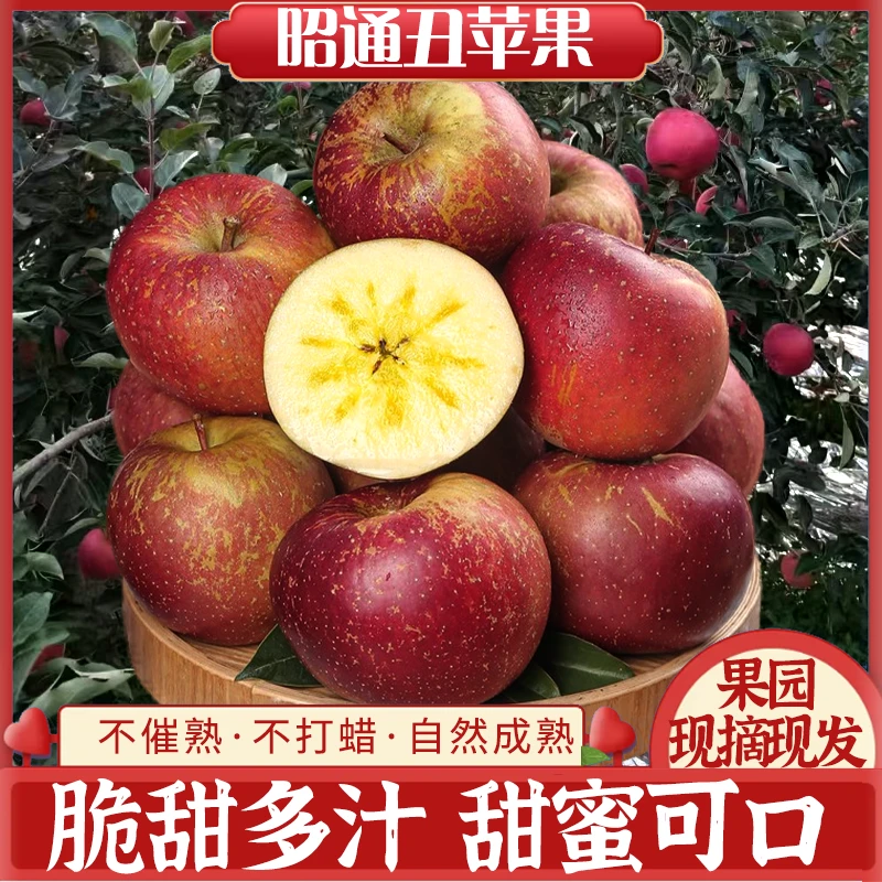 昭通冰糖心丑苹果5斤新鲜水果当季丑苹果产地直发脆甜多汁