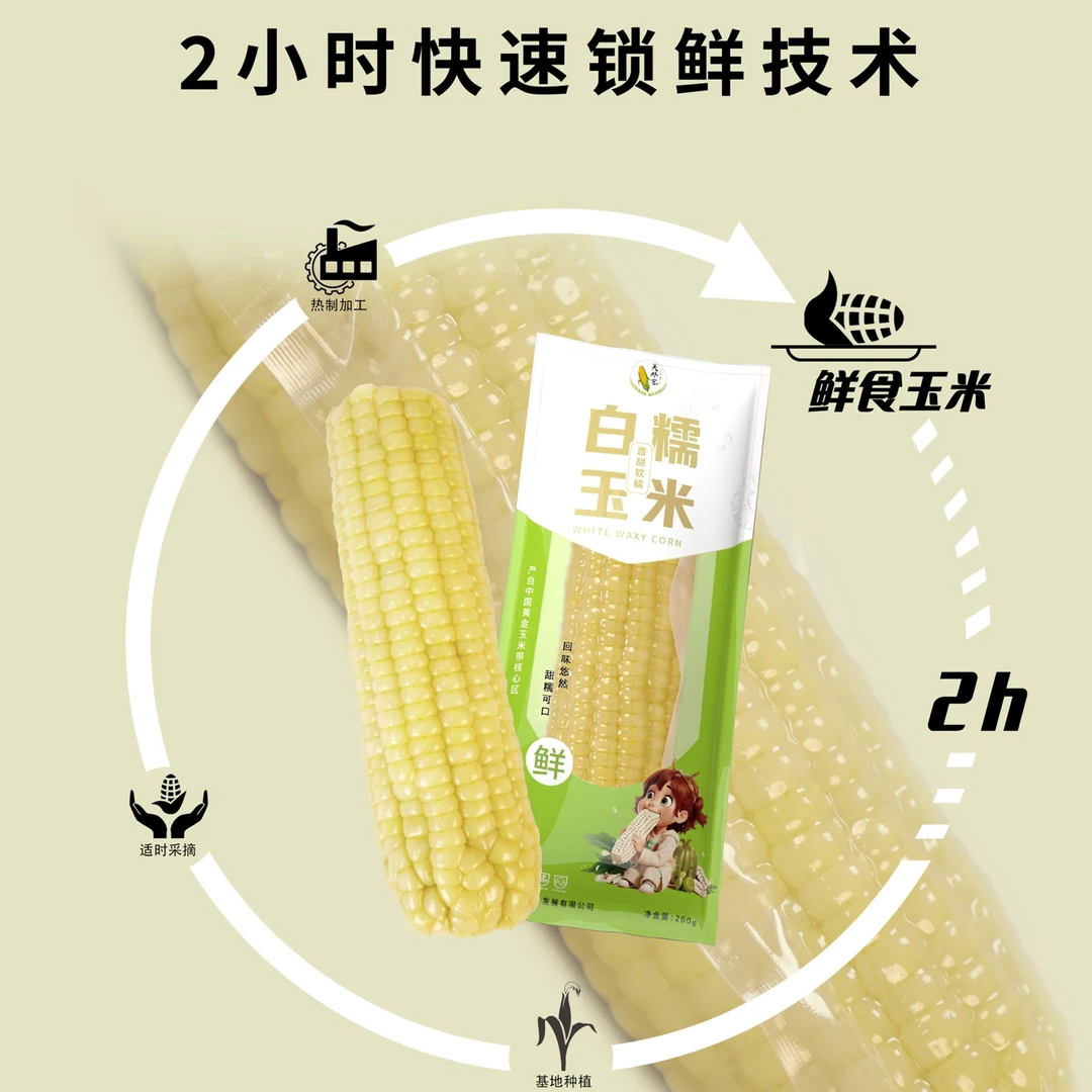 关外客白糯玉米 260g*10支 香甜软糯可口 东北发货