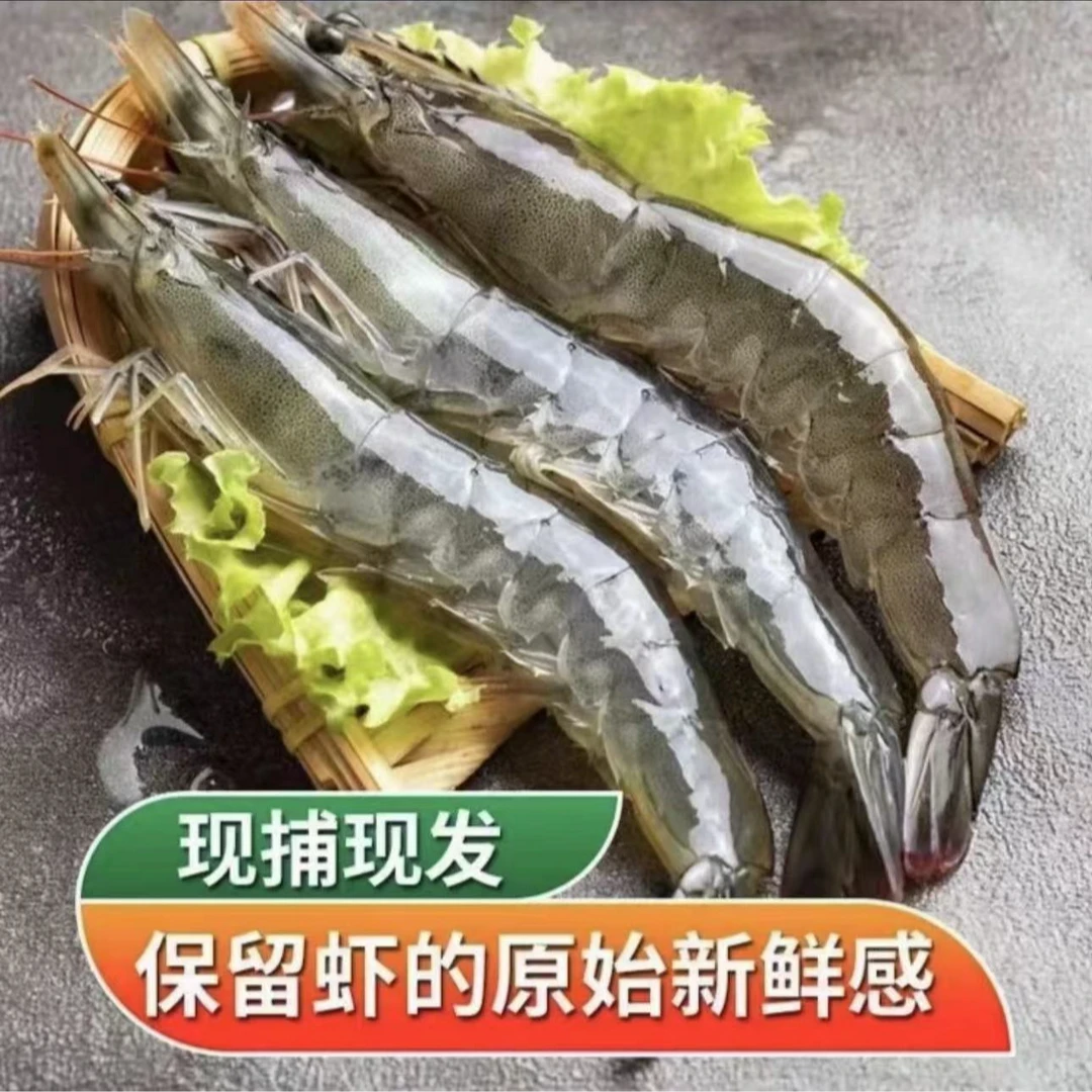 新鲜2030海明虾4斤  （每只15-18厘米一斤10-15只）