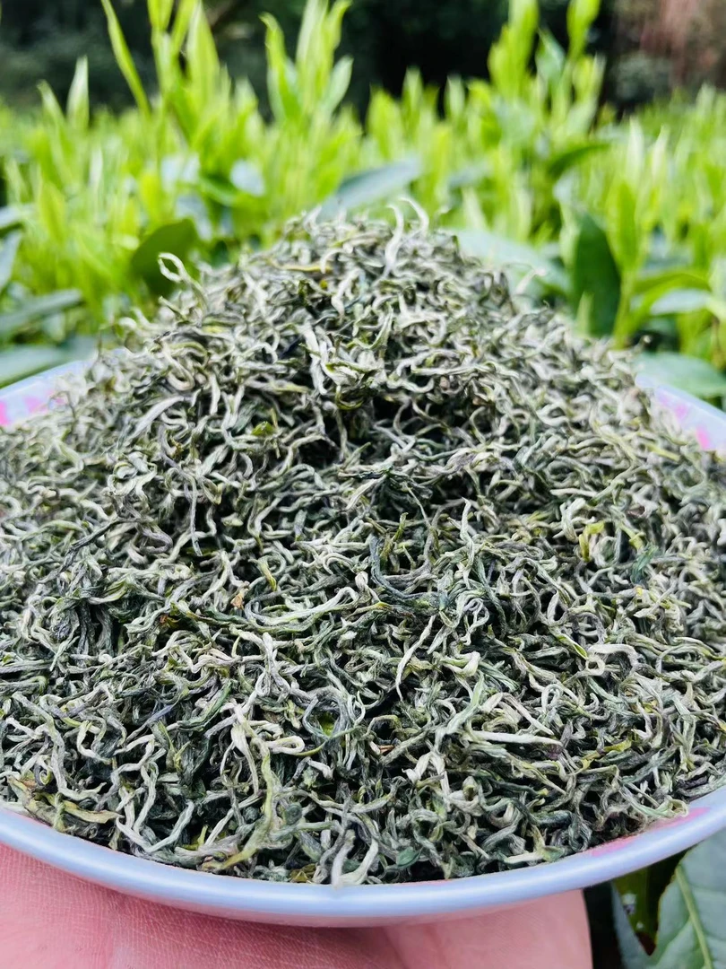 平江绿茶明前茶2025头采新茶碧螺春毛尖茶好茶精选