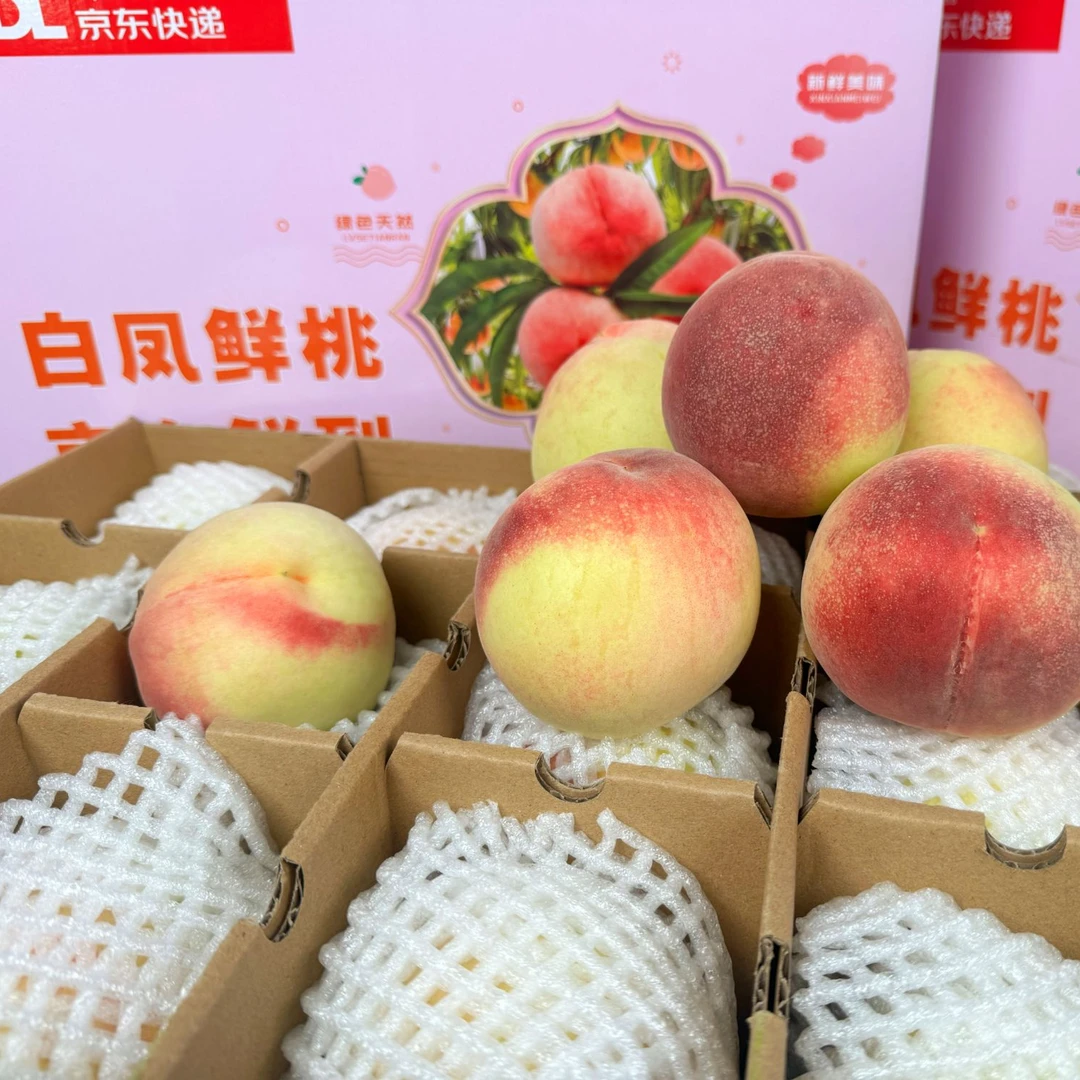 【甘肃省外】兰州白凤桃8斤12个果礼盒装新鲜多汁产地直发坏果包赔