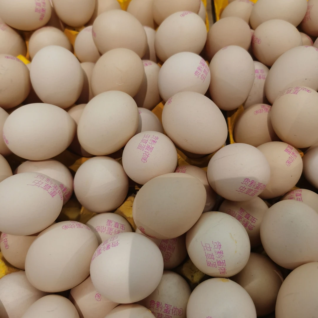 贵黔蛋侬虫草蛋  约1000g/份