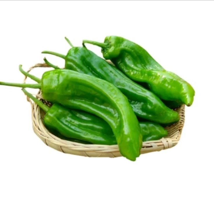 皱椒 约500g/份
